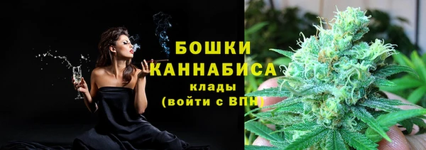 индика Зерноград