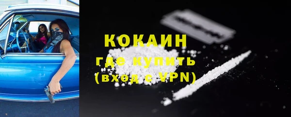 мдпв Инта
