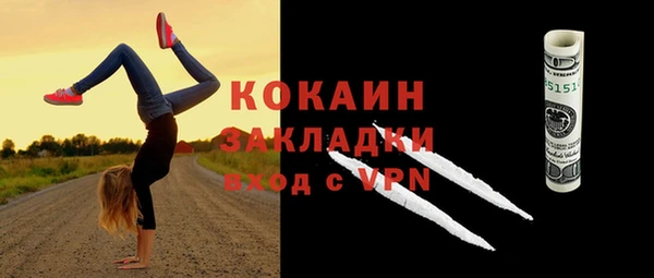 индика Зерноград