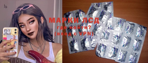 мяу мяу мука Инсар