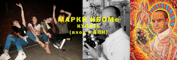 мяу мяу мука Инсар