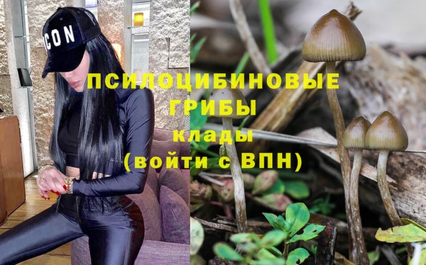 мдпв Инта