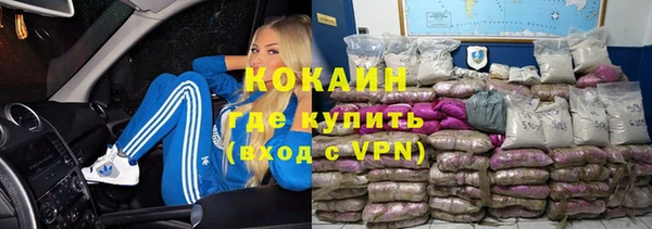 мдпв Инта