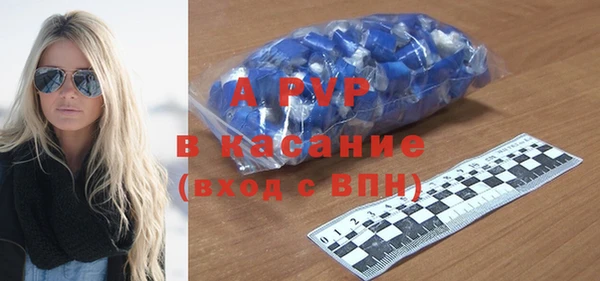 мяу мяу мука Инсар