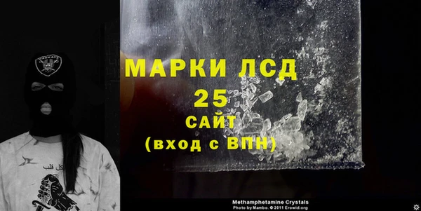 мяу мяу мука Инсар