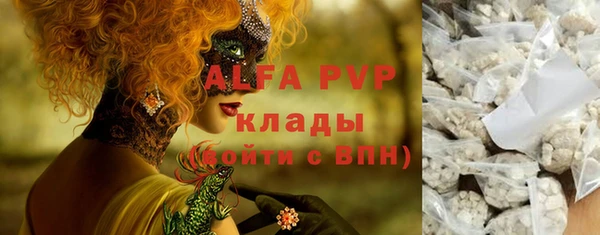 мяу мяу мука Инсар